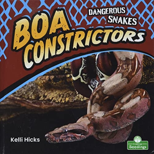 Boa Constrictors by Kelli Hicks, Amy Culliford, 9781427162328