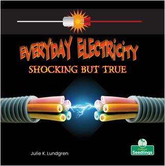 Everyday Electricity, Shocking But True - 9781039600430 by Julie K. Lundgren, Amy Culliford, 9781039600430