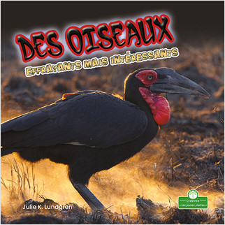 Des oiseaux effrayants mais intéressants (Creepy But Cool Birds) by Julie K. Lundgren, Annie Evearts, 9781039608344