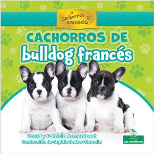 Cachorros de bulldog francés (French Bulldog Puppies) by David Armentrout, Sophia Barba-Heredia, Gilda Kupferman, 9781039619937 Cachorros de bulldog francés (French Bulldog Puppies) by David Armentrout, Sophia Barba-Heredia, Gilda Kupferman, 9781039619937