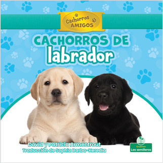 Cachorros de labrador (Labrador Retriever Puppies) by David Armentrout, Sophia Barba-Heredia, Gilda Kupferman, 9781039619951