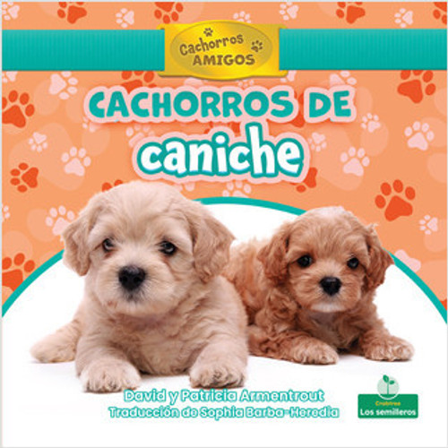 Cachorros de caniche (Poodle Puppies) by David Armentrout, Sophia Barba-Heredia, Gilda Kupferman, 9781039619968