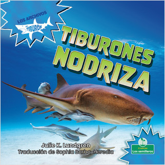 Tiburones nodriza (Nurse Sharks) by Julie K. Lundgren, Sophia Barba-Heredia, Gilda Kupferman, 9781039621183