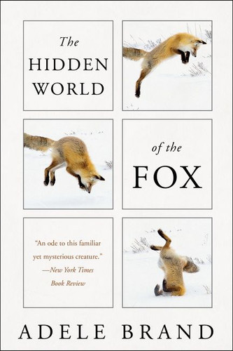 The Hidden World of the Fox - 9780062966117 by Adele Brand, 9780062966117