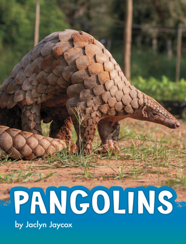 Pangolins by Jaclyn Jaycox, 9781666325638