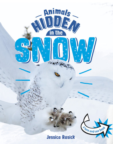Animals Hidden in the Snow - 9781666315356 by Jessica Rusick, 9781666315356