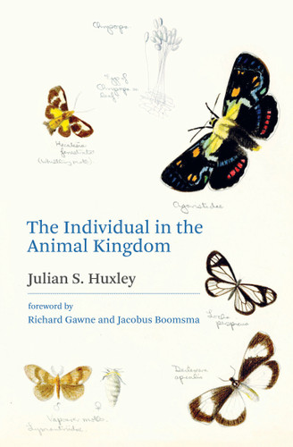 The Individual in the Animal Kingdom by Julian S. Huxley, Richard Gawne, Jacobus Boomsma, 9780262045377