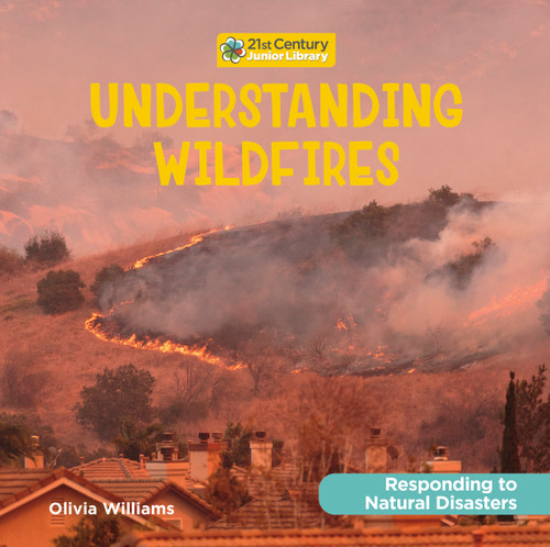 Understanding Wildfires by Olivia Williams, 9781534199217