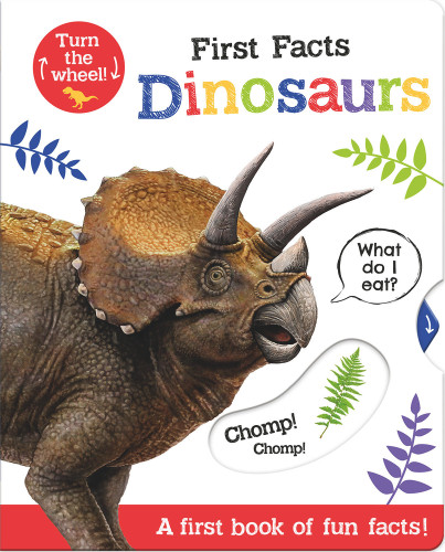First Facts Dinosaurs by Bethany Carr, Georgie Taylor, 9781801050418