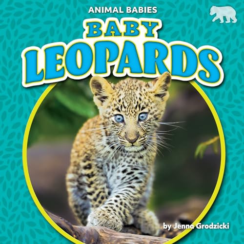 Baby Leopards - 9781636913568 by Jenna Grodzicki, 9781636913568