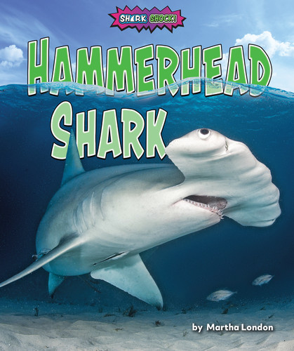 Hammerhead Shark - 9781636915326 by Martha London, 9781636915326