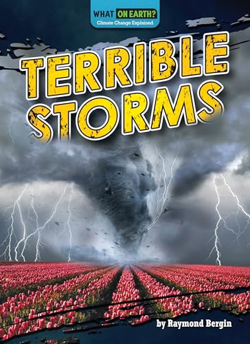 Terrible Storms by Raymond Bergin, 9781636915661