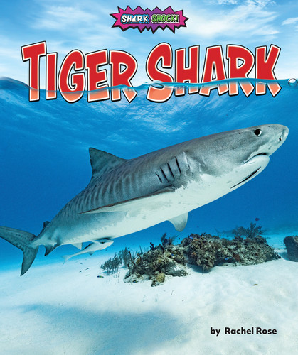 Tiger Shark - 9781636915340 by Rachel Rose, 9781636915340