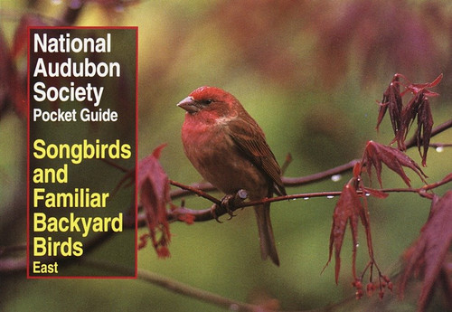 National Audubon Society Pocket Guide to Songbirds and Familiar Backyard Birds: Eastern Region (East) by National Audubon Society, 9780679749264