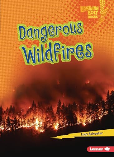 Dangerous Wildfires - 9781728447988 by Lola Schaefer, 9781728447988