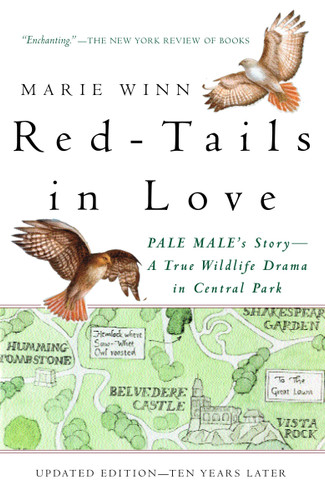 Red-Tails in Love (PALE MALE'S STORY--A True Wildlife Drama in Central Park) by Marie Winn, 9780679758464