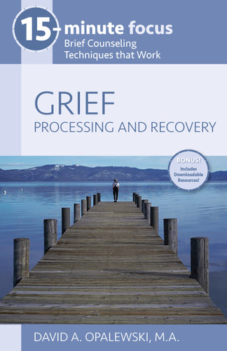 15-Minute Focus: Grief: Processing and Recovery (Brief Counseling Techniques that Work) by David A. Opalewski, 9781937870768