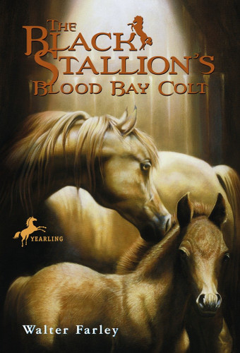 The Black Stallion's Blood Bay Colt ((Reissue)) by Walter Farley, 9780679813477