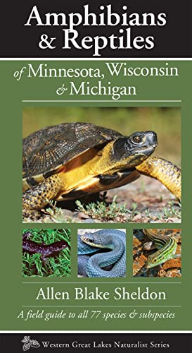 Amphibians & Reptiles of Minnesota, Wisconsin & Michigan (A Field Guide to All 77 Species & Subspecies) by Allen Blake Sheldon, 9781936571147