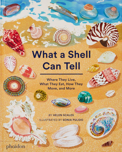 What A Shell Can Tell by Helen Scales, Sonia Pulido, 9781838664312