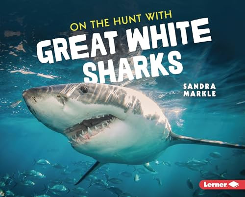 On the Hunt with Great White Sharks by Sandra Markle, 9781728456249 On the Hunt with Great White Sharks by Sandra Markle, 9781728456249