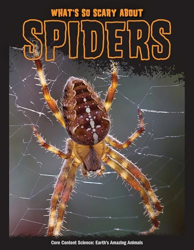 What's So Scary about Spiders? by Joanne Mattern, 9781643711676