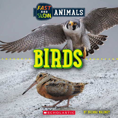 Birds (Wild World: Fast and Slow Animals) by Brenna Maloney, 9781338836523