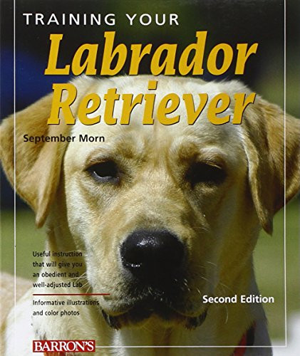 Training Your Labrador Retriever by September Morn, 9780764142550