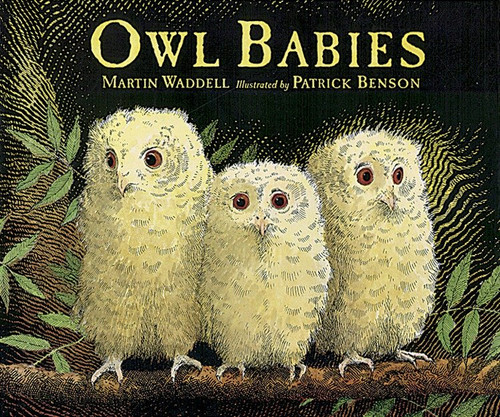 Owl Babies Big Book by Martin Waddell, Patrick Benson, 9780763612832