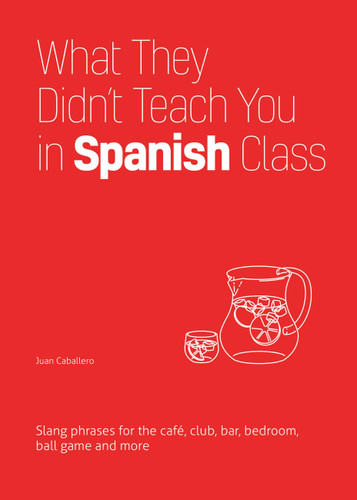 What They Didn't Teach You in Spanish Class (Slang Phrases for the Cafe, Club, Bar, Bedroom, Ball Game and More) - 9781646043958 by Juan Caballero, 9781646043958