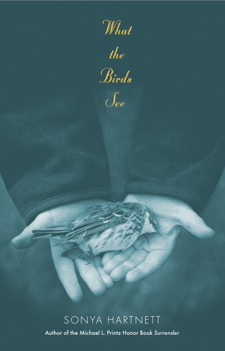 What the Birds See by Sonya Hartnett, 9780763636807