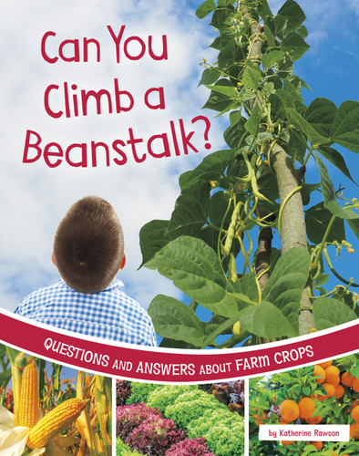 Can You Climb a Beanstalk? (Questions and Answers About Farm Crops) by Katherine Rawson, 9781666349245 Can You Climb a Beanstalk? (Questions and Answers About Farm Crops) by Katherine Rawson, 9781666349245