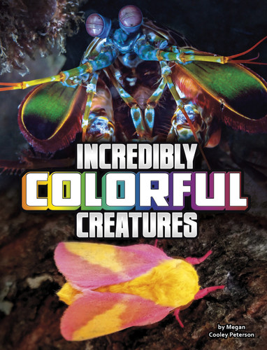 Incredibly Colorful Creatures - 9781666355413 by Megan Cooley Peterson, 9781666355413