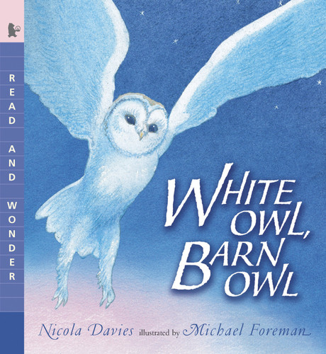 White Owl, Barn Owl (Read and Wonder) by Nicola Davies, Michael Foreman, 9780763641436