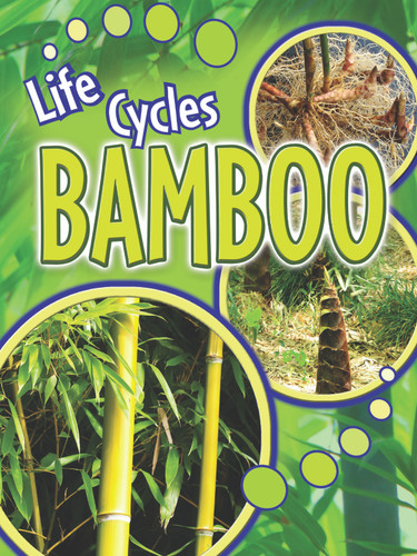 Bamboo - 9781615905454 by Julie Lundgren, 9781615905454