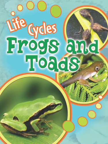 Frogs and Toads by Julie Lundgren, 9781615905485