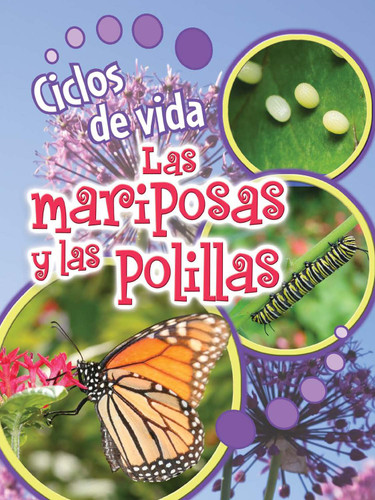Ciclos de vida de las mariposas y las polillas (Butterflies and Moths) (Spanish Edition) by Julie Lundgren, 9781627174015