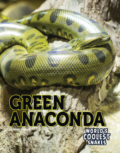 Green Anaconda - 9781641564861 by Brittany Canasi, 9781641564861