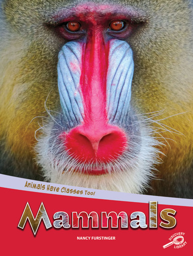 Animals Have Classes Too! Mammals by Nancy  Furstinger, 9781643690285