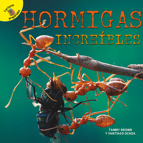 Hormigas increíbles (Amazing Ants) (Spanish Edition) by Santiago Ochoa, Tammy  Brown, 9781731605184 Hormigas increíbles (Amazing Ants) (Spanish Edition) by Santiago Ochoa, Tammy  Brown, 9781731605184