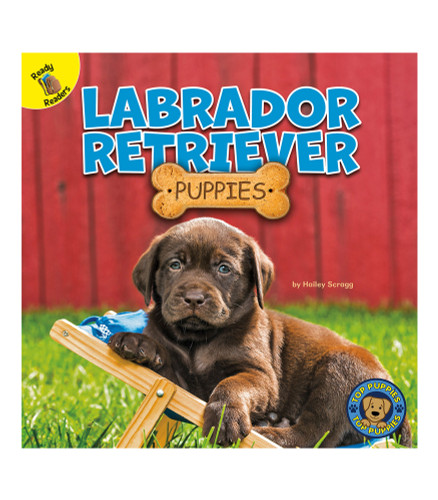 Labrador Retriever Puppies - 9781731628589 by Hailey Scragg, 9781731628589