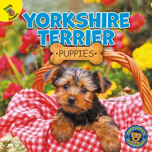 Yorkshire Terrier Puppies - 9781731628671 by Hailey Scragg, 9781731628671