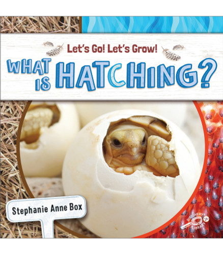 What Is Hatching? - 9781731652218 by Stephanie Anne Box, 9781731652218