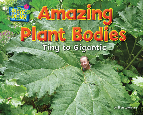 Amazing Plant Bodies (Tiny to Gigantic) by Ellen Lawrence, 9781642807875