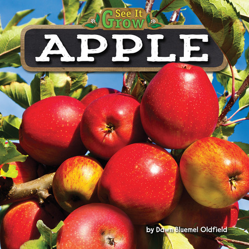Apple - 9781627248396 by Dawn Bluemel Oldfield, 9781627248396