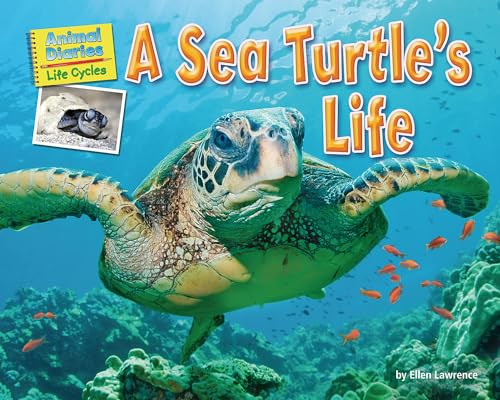 A Sea Turtle's Life - 9781642807400 by Ellen Lawrence, 9781642807400