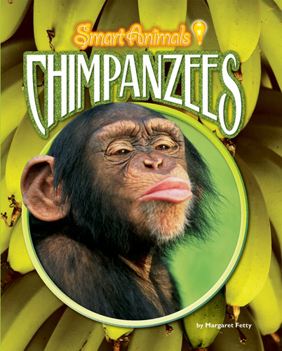 Chimpanzees - 9781597161596 by Margaret Fetty, 9781597161596