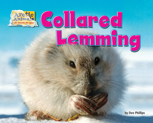 Collared Lemming by Dee Phillips, 9781642807561