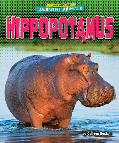 Hippopotamus by Colleen Sexton, 9798885091169