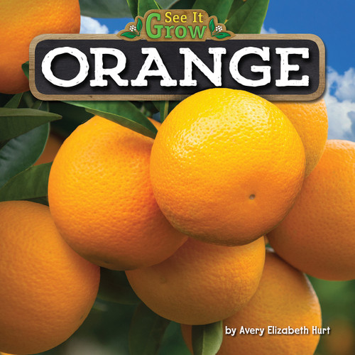Orange - 9781684026746 by Avery Hurt, 9781684026746